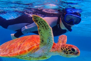 Barat Perhentian Snorkeling