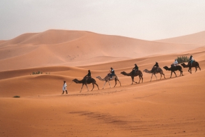 MATTA Fair 2025 - Egypt Gateway