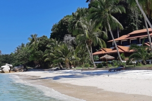 DCoconut Snorkeling