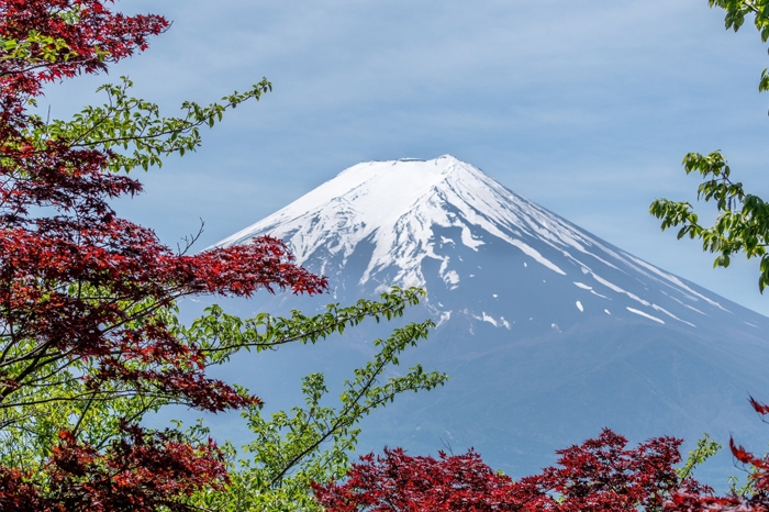 Tokyo Fuji Iconic Japan Journey